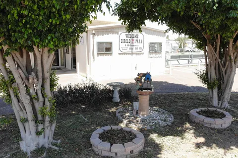 Circle T RV Park