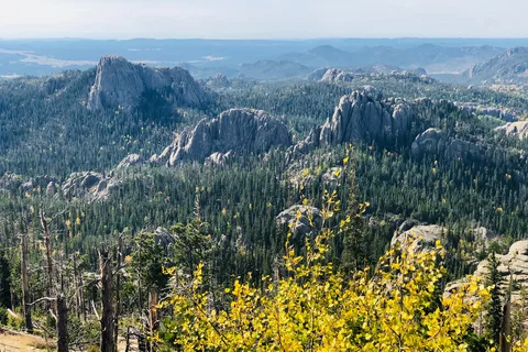American Buffalo Resort