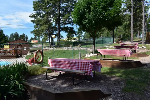 American Buffalo Resort