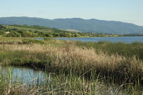 Swan Lake RV Resort