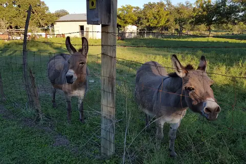 Skyline Ranch RV Park