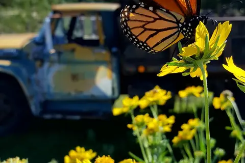 Skyline Ranch RV Park