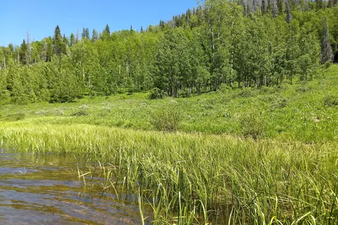 Pearl Lake State Park