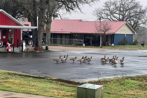 Texan RV Park
