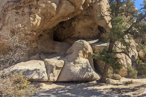 Joshua Tree National Park