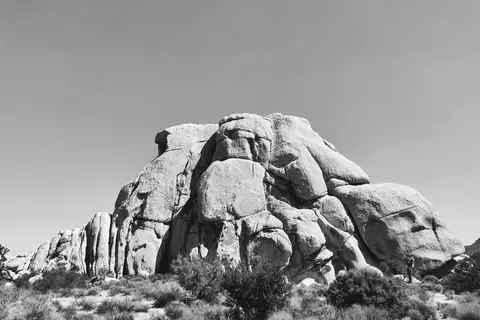 Joshua Tree National Park