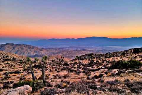 Joshua Tree National Park
