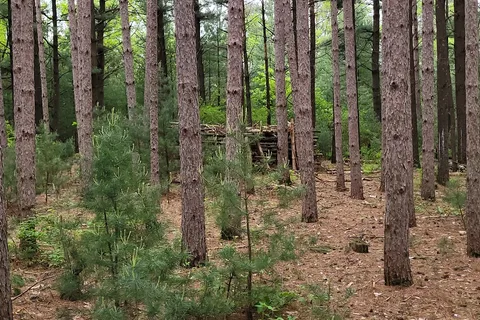 Leon Valley Campground