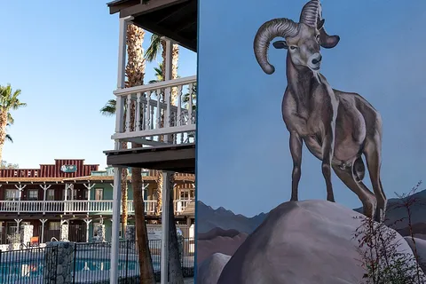 Palm Canyon Hotel & RV Resort