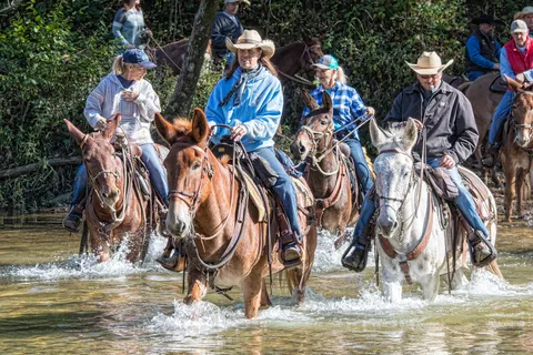 North Fork River Ranch
