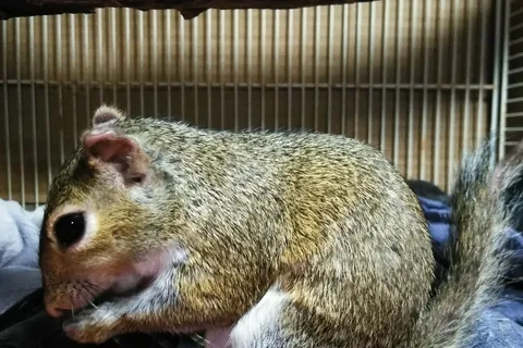 Lazy Dazy Retreat