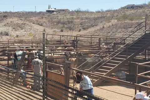 Tombstone Dry Camping RV Park