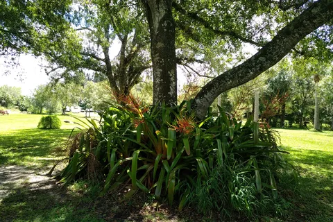 Sunnier Palms Nudist Park and Campground