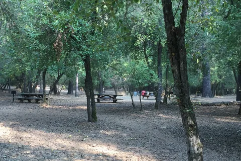 Shasta Lake RV Resort-Campground