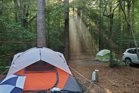 Martinak State Park