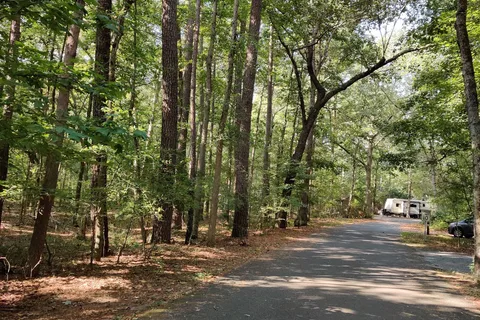 Martinak State Park