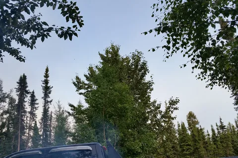 Camp Tamarack RV Park