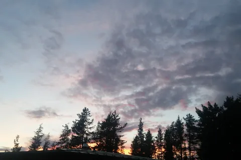 Camp Tamarack RV Park