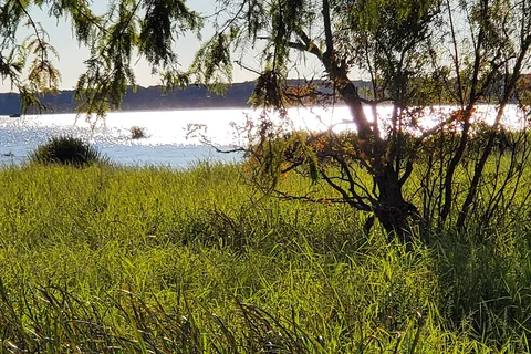 Lake Fausse Pointe State Park