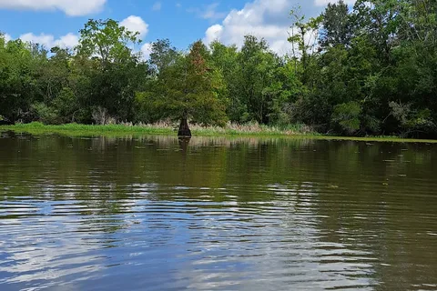 Lake Fausse Pointe State Park