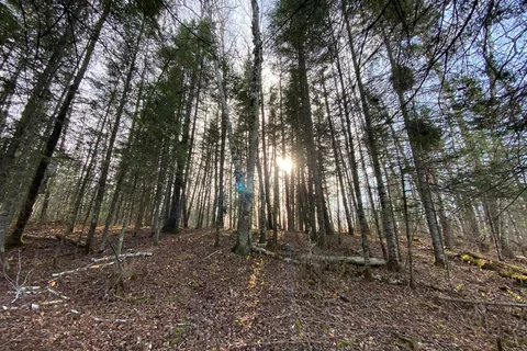 Franz Jevne State Park