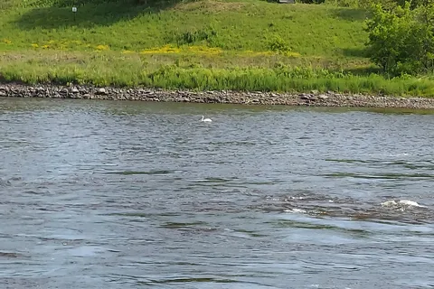 Franz Jevne State Park