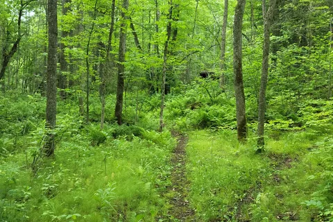 Franz Jevne State Park