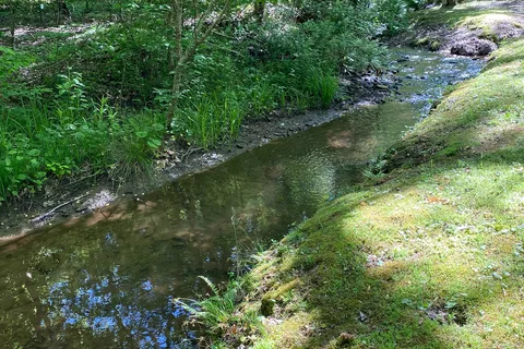 Long Ridge Campground