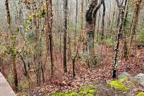 Cumberland Falls State Park - Cliffy