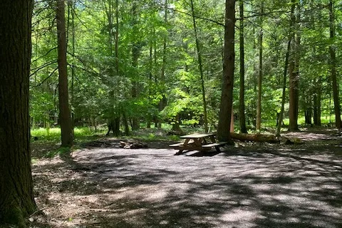 Falling Waters Campground home of Buttermilk Falls