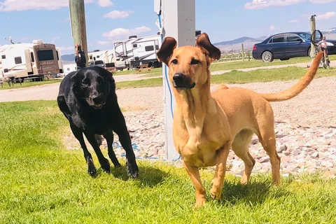 Countryside RV Park