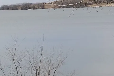 Willow Cove - Merritt Reservoir State Recreation Area