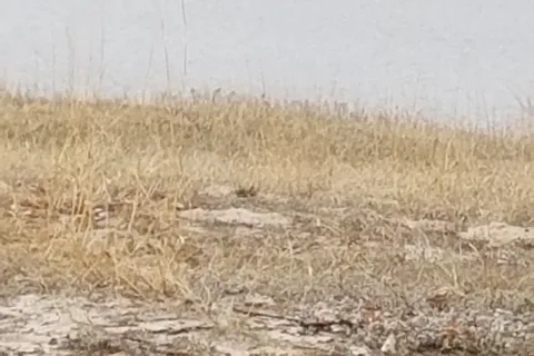 Willow Cove - Merritt Reservoir State Recreation Area