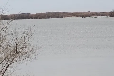 Willow Cove - Merritt Reservoir State Recreation Area