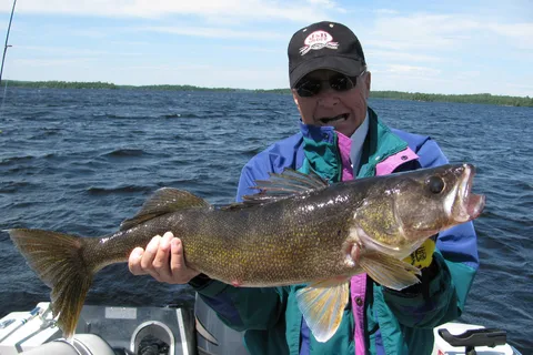 Open Bay Lodge