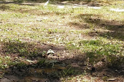 Green Acres Camping Resort