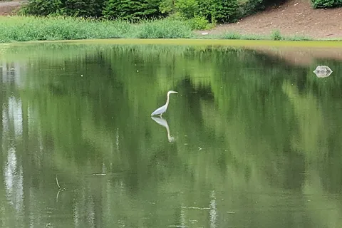 Green Acres Camping Resort