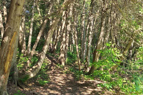 Edenvale Conservation Area