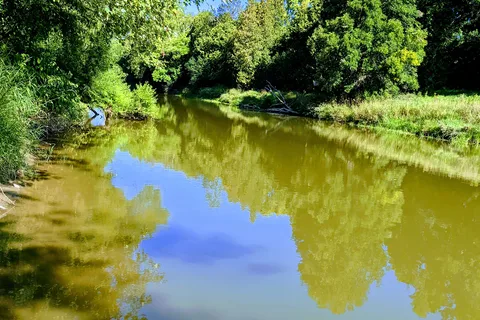Edenvale Conservation Area