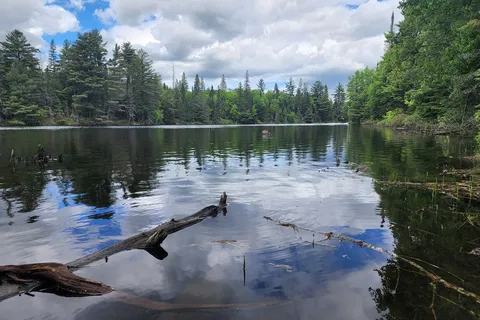 Edenvale Conservation Area