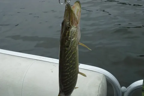 Pierce Lake Lodge