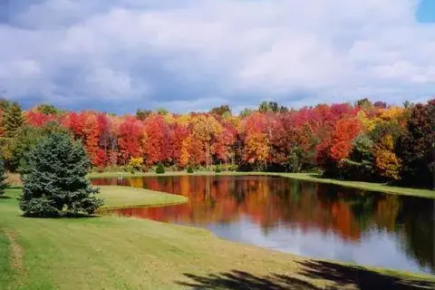 Whispering Pines Camping Estates