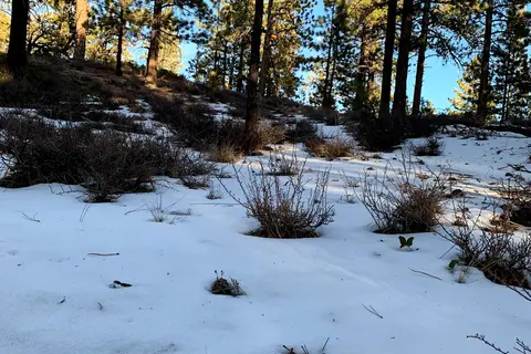 North Campground - Bryce Canyon National Park