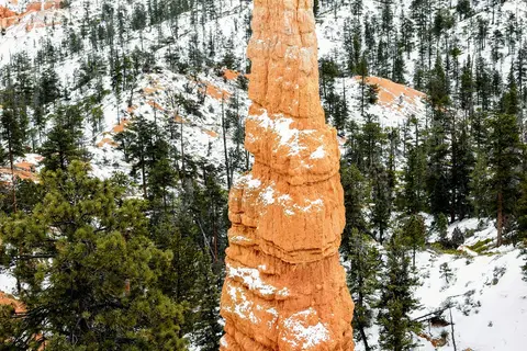 North Campground - Bryce Canyon National Park