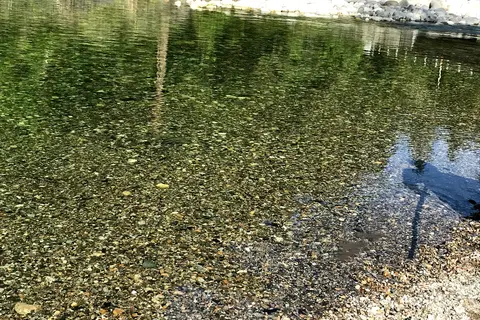 River Rest Resort