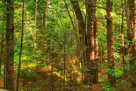 Ammonoosuc Campground