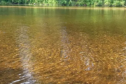 Ammonoosuc Campground