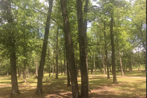 Tippy Dam Campground & Cabins