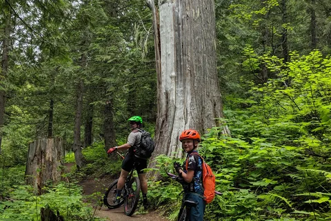 Mount Fernie Provincial Park