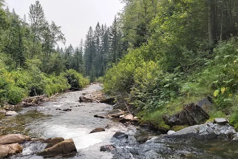 Mount Fernie Provincial Park